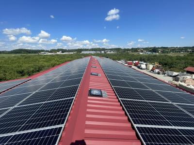 Jüllich Glas Solar napelem Bölcske